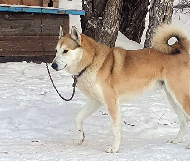 jukon_dolguchin_14.06.04