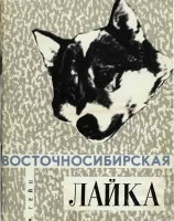 laiki1