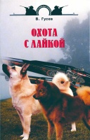 laiki7